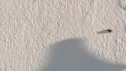 Shadows in motion Video stock 100433143