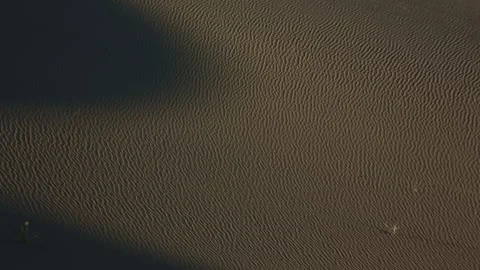 Shadows Move Over Sand Dunes Timelapse Vidéo 266562009