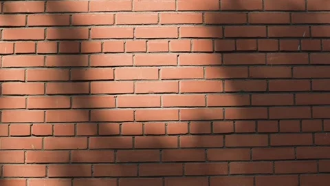 Shadows from nearby objects fall on a brick wall, forming a distinct pattern Vidéo 344526080