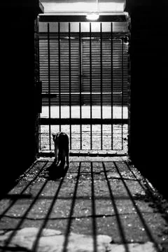 Shadows of the night Stock Photos