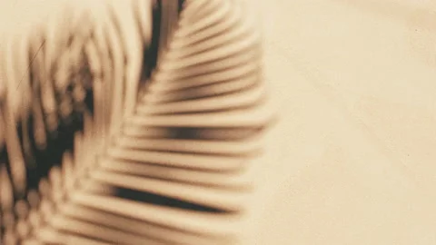 Shadows palm leaf in wind overlay on sand background Stock Footage 142704666