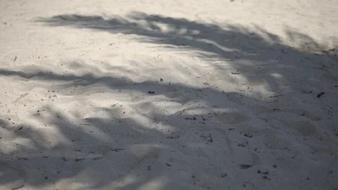 Shadows of palm tree fronds fluttering on textured sand beach. Caribbean Sea Stock Footage 90271228