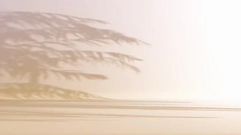 Shadows of palm trees, 3d render studio background with soft lighting Stock Footage 346168557