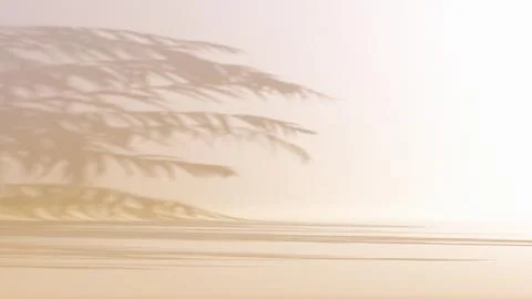 Shadows of palm trees, 3d render studio background with soft lighting Foto stock