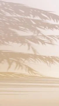 Shadows of palm trees on a plain studio backdrop vertical background Stock Photos
