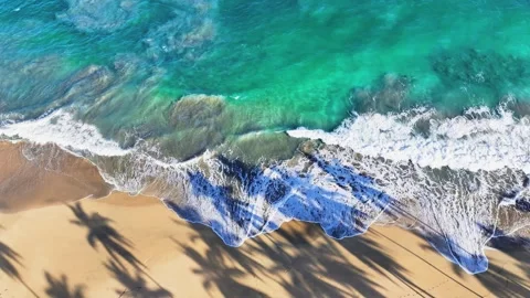 Shadows of palm trees on a sandy beach against an abstract blue ocean background Vidéo 251524823