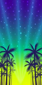 The shadows of palm trees on a sunset and evening shining stars background. 스톡 일러스트