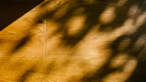 Shadows on parquet flooring Stock Footage 172239272