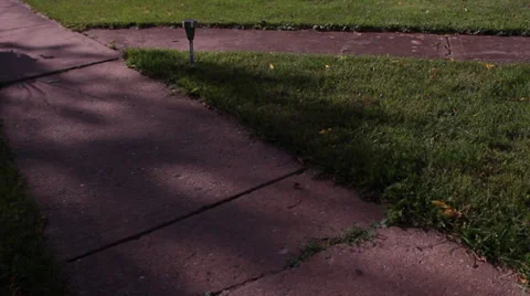 Shadows on a Path, Trees Stock-Footage 33756743