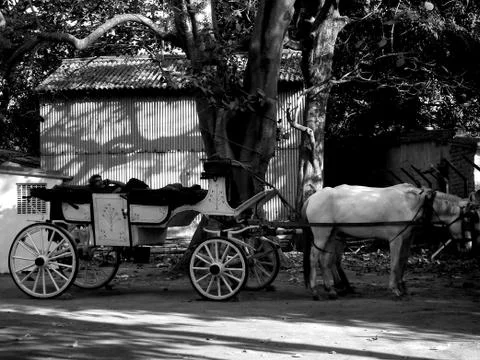 Shadows Stock Photos