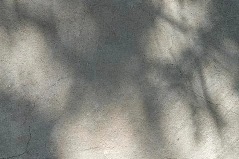 Shadows on a plastered wall for backgrounds Stock Photos