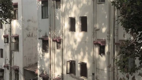 Shadows playing Video stock 76015948