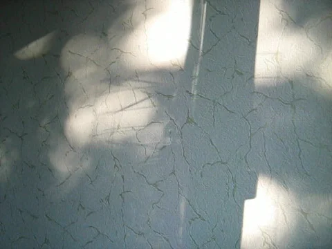 Shadows playing on the wall Stock Footage 474509