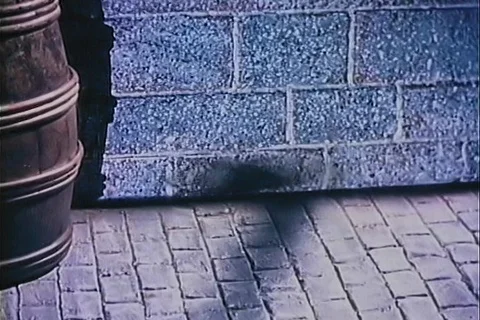 Shadows of rats running across brick wall, 1950s Stock Footage 95349232
