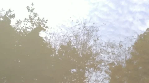Shadows reflections of tree and sky in still water of river Vídeos de archivo 155408742