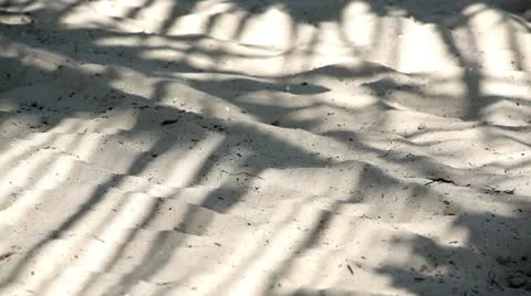 Shadows in the sand 库存影片 12363862