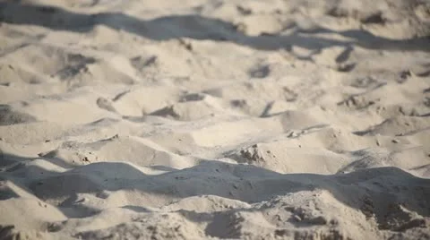 Shadows in the sand. 库存影片 14829229