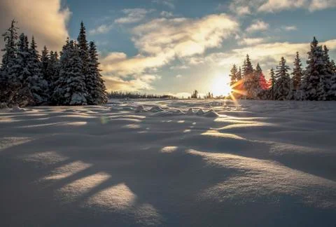 Shadows of a snow dragon Stock Photos