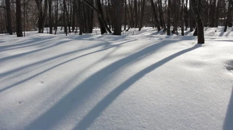 Shadows on the snow Stock Footage 45410859