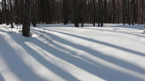 Shadows on the snow Stock Footage 45410882
