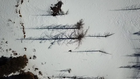 Shadows on the snow Stock Footage 94122552