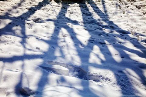 Shadows on the snow Stock Photos