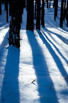 Shadows on snow Stock Photos