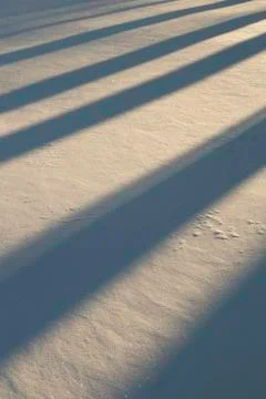 Shadows in Snow Stock Photos