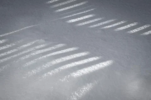 Shadows in the snow Stock Photos