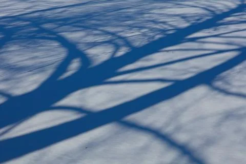 Shadows on snow. Stock Photos