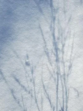 Shadows on the snow Foto stock