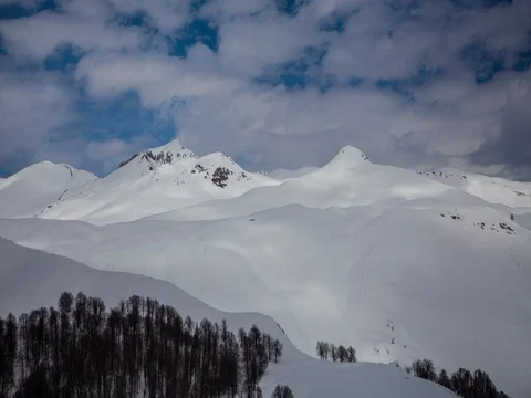 Shadows on snow. Winter forest landscape time lapse 4k Stock-Footage 83692971