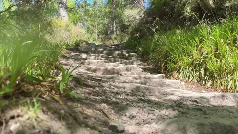 Shadows on stone steps on mountain hiking trail Stock Footage 319571394