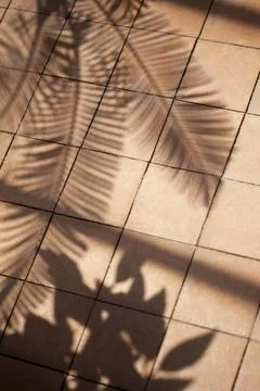 Shadows on tiles Stock Photos