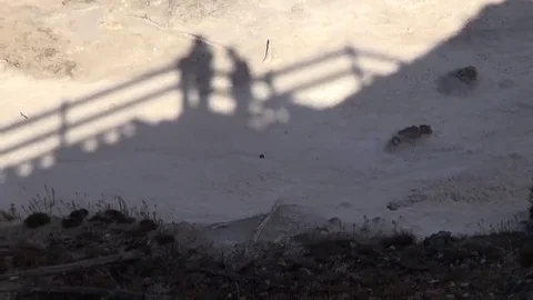 Shadows of tourists Stock-Footage 69177953