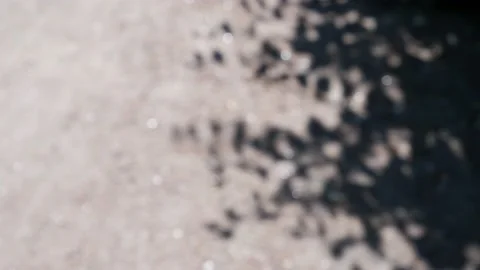 Shadows of tree branches blurred. Bokeh background defocus. Stock Footage 156850156