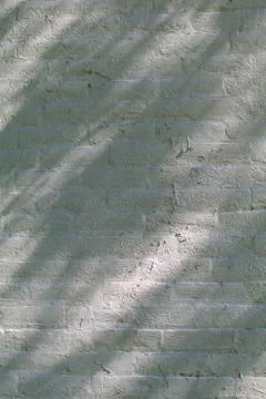 Shadows from a tree fall across a white brick wall Stock Photos