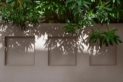 Shadows from a tree on a fence Stock Photos