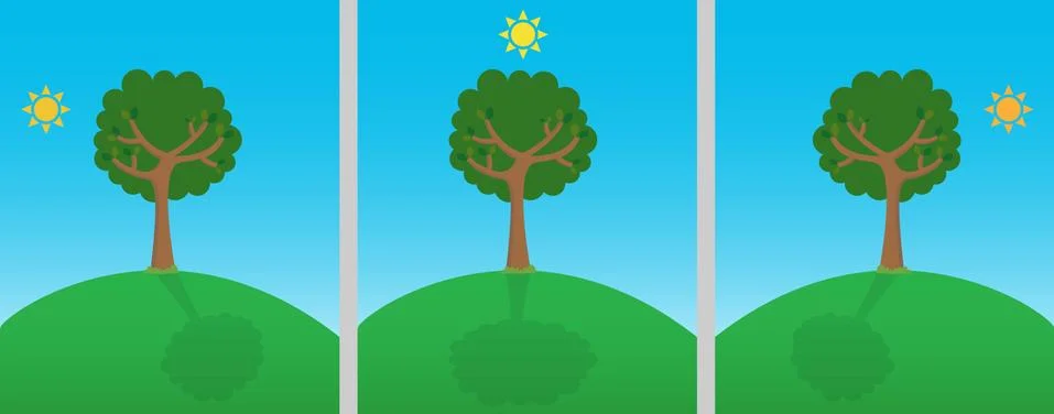 Shadows of a tree Stock Illustration