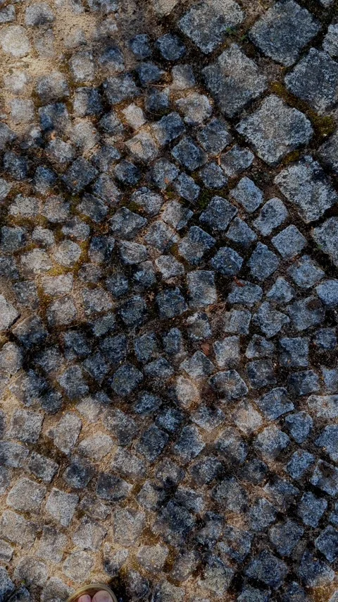 Shadows of tree leaves moving slowly on cobblestone pavements vertical 4k video. 库存影片 341517534