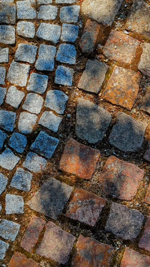 Shadows of tree leaves moving slowly on cobblestone pavements vertical 4k video. 库存影片 341978771