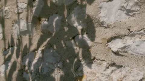 Shadows of tree leaves moving in the wind on a stone wall, Marseille, France Stock Footage 287311013