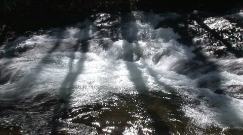 Shadows of a tree on a mountain stream Stock Footage 737433