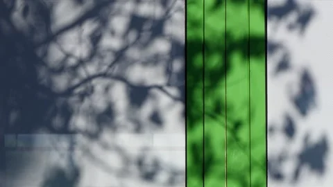 Shadows of a tree on the wall Stock Footage 245972390