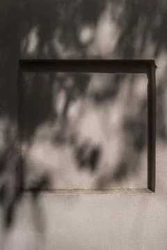 Shadows from a tree on a wall Stock Photos