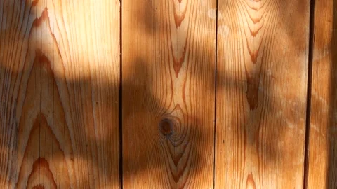 Shadows from trees on boards. Stock Footage 253259171