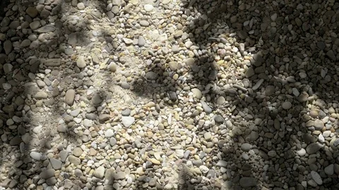 Shadows of trees on a boulder floor Stock Footage 77198018