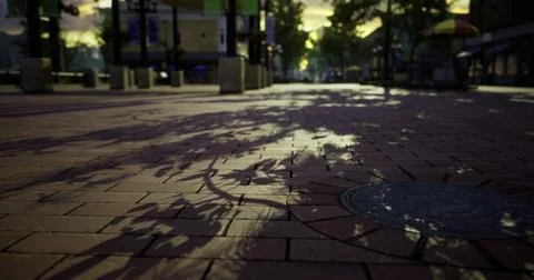 Shadows of trees cast on an empty plaza during sunset in an urban area Stock-Illustration