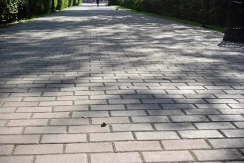 Shadows of trees on the empty alley surface Stock Photos