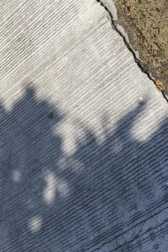 Shadows of trees fall onto the concrete floor outside. Stock Photos